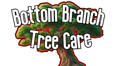 bottombranchtreecare